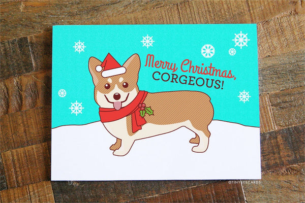 Funny Christmas Card "Merry Christmas, Corgeous"