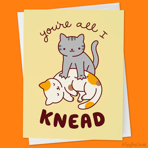 Cat Love Card - All I Knead