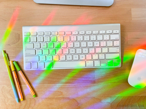 Protect our Pollinators Suncatcher Decal - Rainbow Maker, Bug Lover Nature Repositionable Window Cling Sticker