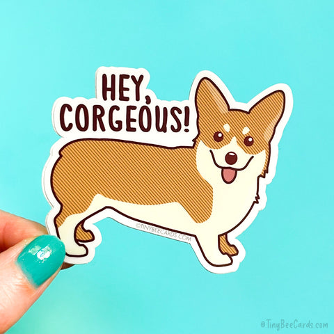 Funny Corgi Vinyl Sticker "Hey Corgeous!"