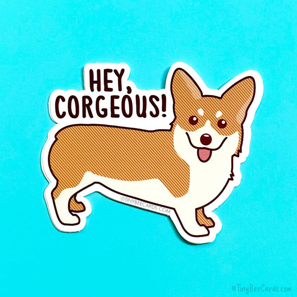 Funny Corgi Vinyl Sticker "Hey Corgeous!"