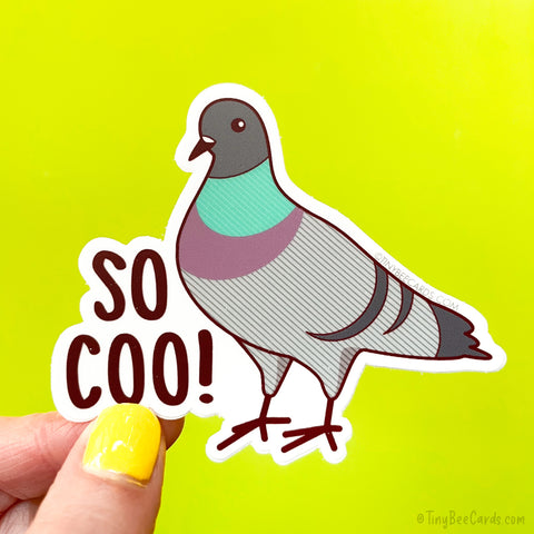Pigeon Vinyl Sticker "So Coo!"