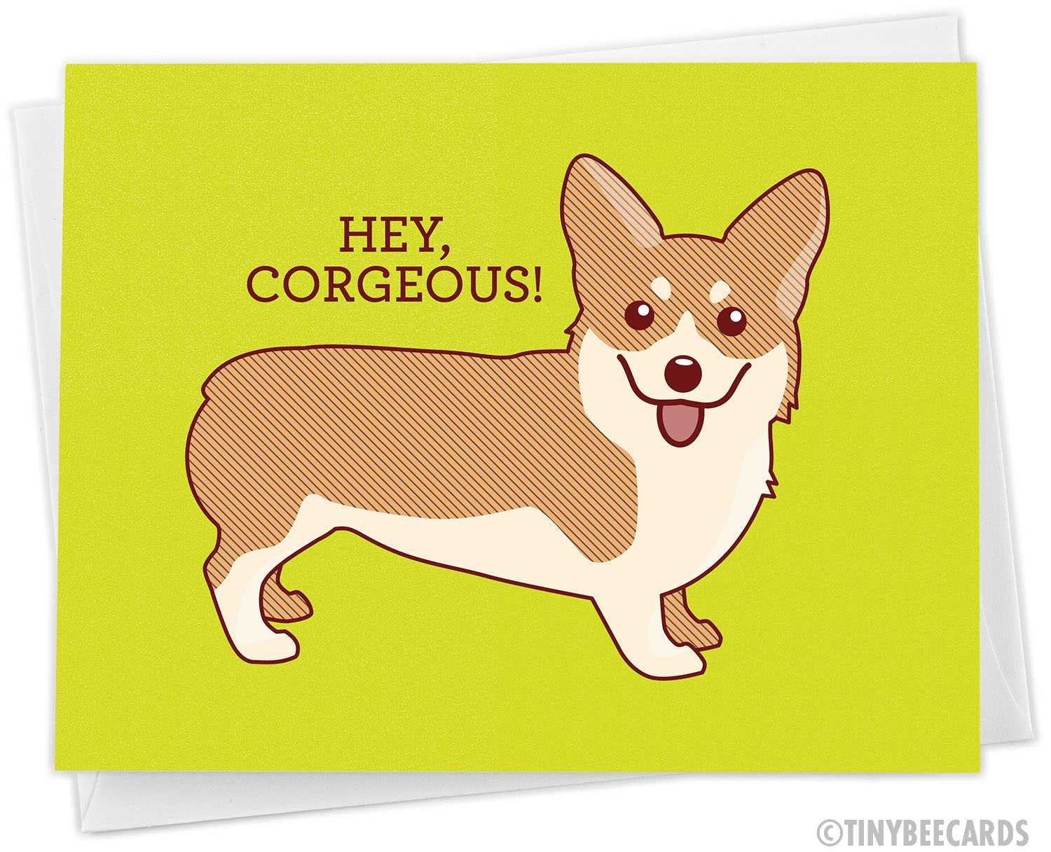 Funny Anniversary or Love Card "Hey Corgeous!"