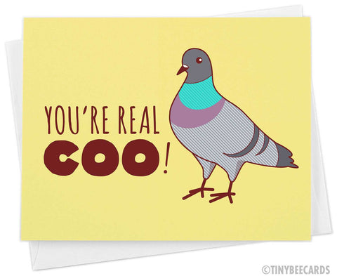 Funny Greeting Card "You're Real Coo" Pigeon